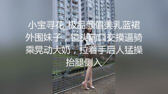 小宝寻花_极品颜值美乳蓝裙外围妹子，镜头前口交摸逼骑乘晃动大奶，拉着手后人猛操抬腿侧入