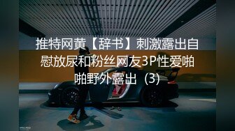 推特网黄【辞书】刺激露出自慰放尿和粉丝网友3P性爱啪啪野外露出  (3)