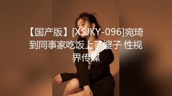 【国产版】[XSJKY-096]宛琦 到同事家吃饭上了嫂子 性视界传媒