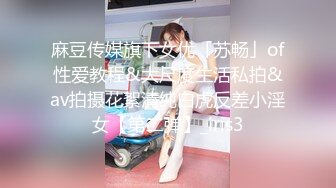 麻豆传媒旗下女优「苏畅」of性爱教程&大尺度生活私拍&av拍摄花絮清纯白虎反差小淫女【第二弹】_iris3