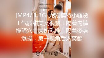 [MP4/ 1.3G] 尤物模特小骚货！气质甜美又很骚！隔着内裤摸骚穴，大奶乳推，隔着姿势爆操，第一视角后入爽翻