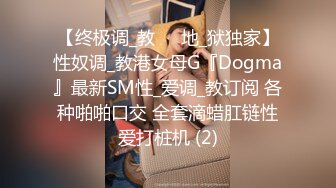 【终极调_教❤️地_狱独家】性奴调_教港女母G『Dogma』最新SM性_爱调_教订阅 各种啪啪口交 全套滴蜡肛链性爱打桩机 (2)