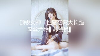 ✿顶级女神✿ 性感窈窕大长腿网丝尤物▌苏善悦▌