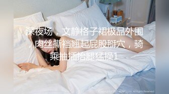 深夜场，文静格子裙极品外围，肉丝撕裆翘起屁股掰穴，骑乘抽插抬腿猛操1