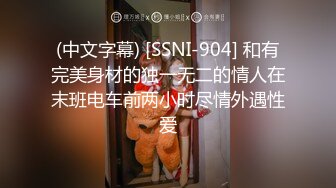 (中文字幕) [SSNI-904] 和有完美身材的独一无二的情人在末班电车前两小时尽情外遇性爱