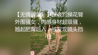 【无情的屌丶】深夜约操花臂外围骚女，肉感身材超级骚，翘起肥臀后入，被发现镜头挡住