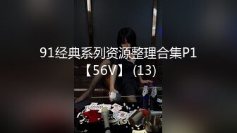 91经典系列资源整理合集P1【56V】 (13)