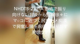 NHDTB-232-A 恐怖で振り向けない背後から指が徐々にマ○コに近づく尻ワレメ痴漢で興奮し腰を前後に振りだす発情女2