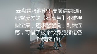 云盘露脸泄密！高颜清纯E奶肥臀反差妹【石高慧】不雅视图全集，还求爸爸肏，对话淫荡，可惜了被个纹身肥猪佬各种蹂躏 (3)