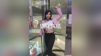 猫咪妹纸