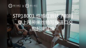 STP18001 性感红唇妹子啪啪，穿上吊带黑丝特写摸逼口交抱起来猛操