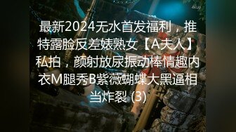 最新2024无水首发福利，推特露脸反差婊熟女【A夫人】私拍，颜射放尿振动棒情趣内衣M腿秀B紫薇蝴蝶大黑逼相当炸裂 (3)