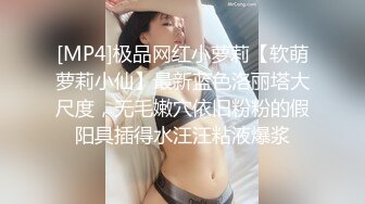 KTV灯红酒绿，操逼快乐生活，马尾辫性感少妇，嘎嘎肏，淫声伴随歌声