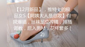 【12月新品】，推特上的极品女S【阿姨大人是总攻】假屌爆插，丝袜足交榨精，排插调教，后入男M，花样繁多 (2)