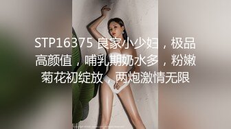 STP16375 良家小少妇，极品高颜值，哺乳期奶水多，粉嫩菊花初绽放，两炮激情无限