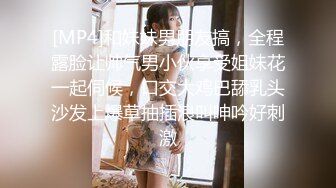 [MP4]红色奶头肉感外围美女 穿上连体网袜特殊姿势口交 大屁股整根插入