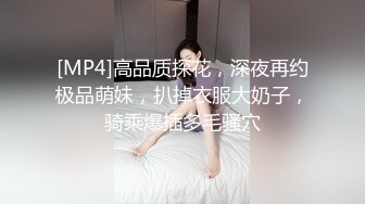 [MP4]高品质探花，深夜再约极品萌妹，扒掉衣服大奶子，骑乘爆插多毛骚穴