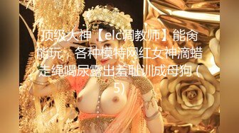 顶级大神【elc调教师】能肏能玩，各种模特网红女神滴蜡走绳喝尿露出羞耻训成母狗 (5)