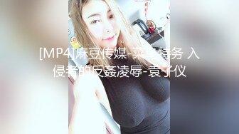 [MP4]麻豆传媒-菜鸟特务 入侵者的反姦凌辱-袁子仪